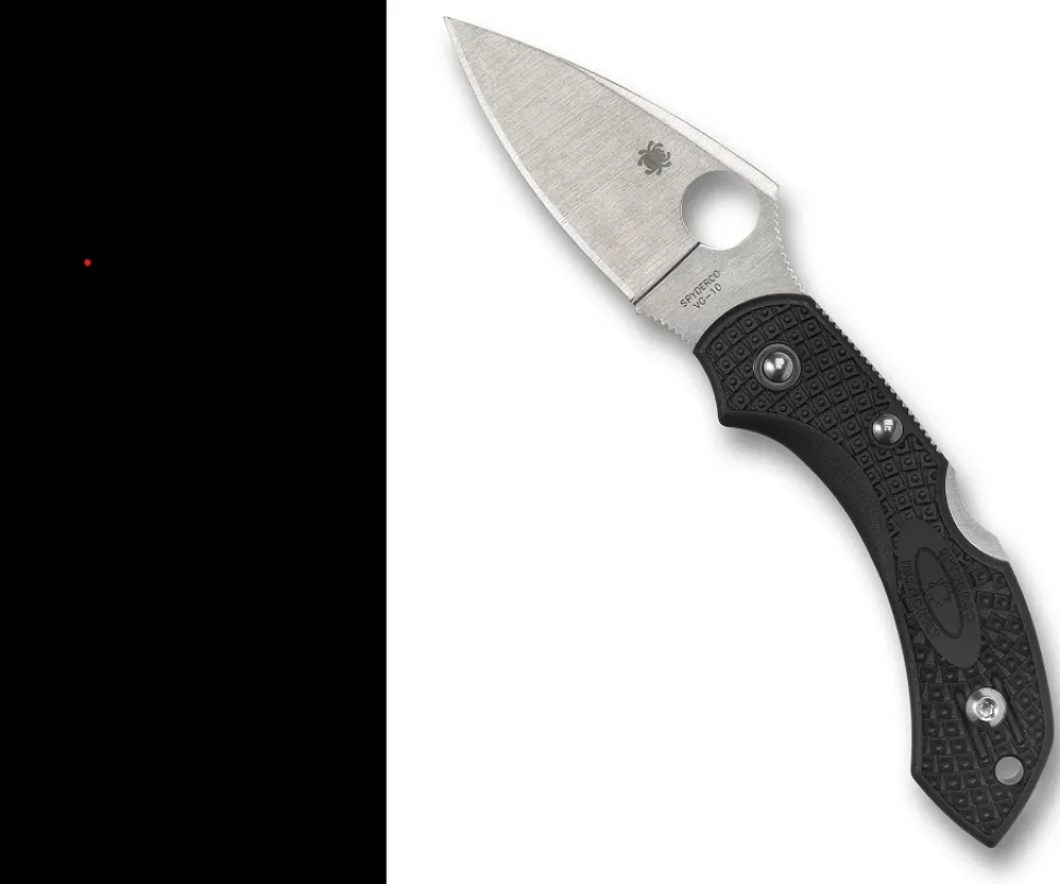 Spyderco Dragonfly 2 Lightweight taittoveitsi