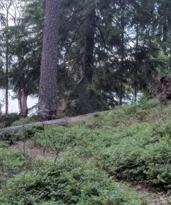 Varusteleka laavukangas